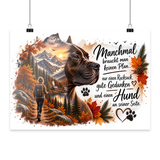 Amstaff- Liebe - Poster Din A3 (quer)